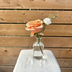 Bud vases: